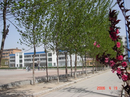 衡水科技學(xué)校