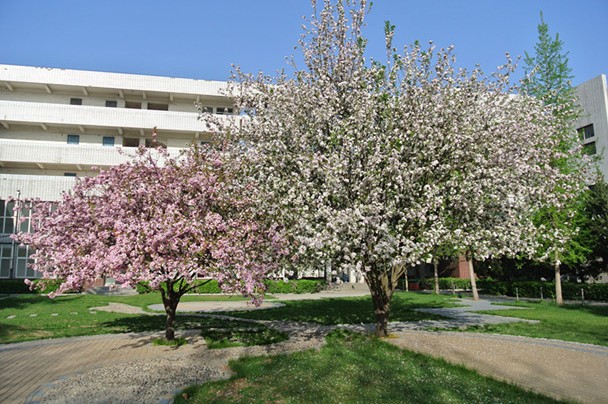 石家莊城鄉建設學(xué)校:省級重點(diǎn)中專(zhuān) 石家莊城鄉建設學(xué)校:省級重點(diǎn)中專(zhuān)