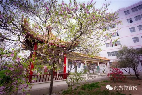 ӱQW(xu)Уô