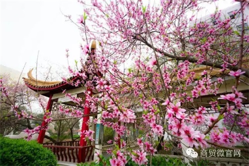 ӱQW(xu)Уô