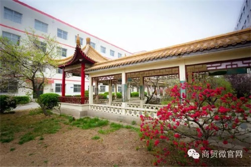 ӱQW(xu)Уô