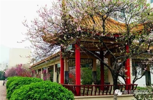 ӱQW(xu)Уô