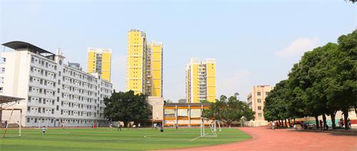 石家莊市交通運輸學(xué)校都開(kāi)設了哪些專(zhuān)業(yè)? 石家莊市交通運輸學(xué)校都開(kāi)設了哪些專(zhuān)業(yè)?