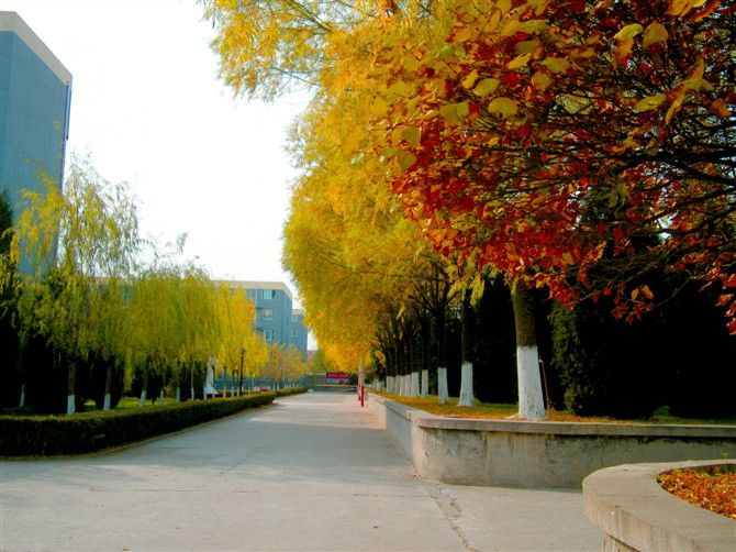 FwW(xu)Ժʲô(zhun)I(y)