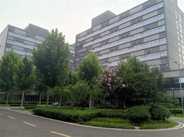ʡQW(xu)УôW(xu)