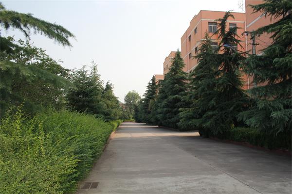 寶雞商貿交通學(xué)校招生簡(jiǎn)章 寶雞商貿交通學(xué)校招生簡(jiǎn)章