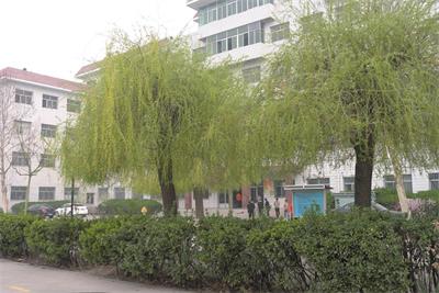 保定育德中等專(zhuān)業(yè)學(xué)校教學(xué)情況怎么樣? 保定育德中等專(zhuān)業(yè)學(xué)校教學(xué)情況怎么樣?