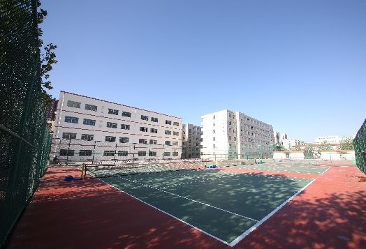 河北商貿學校畢業生去向有哪些? 河北商貿學校畢業生去向有哪些?