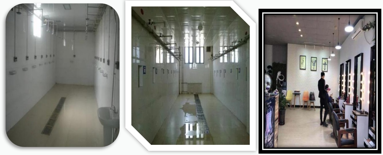 ӱ܉ͨеȌ(zhun)I(y)W(xu)У2022(jin)