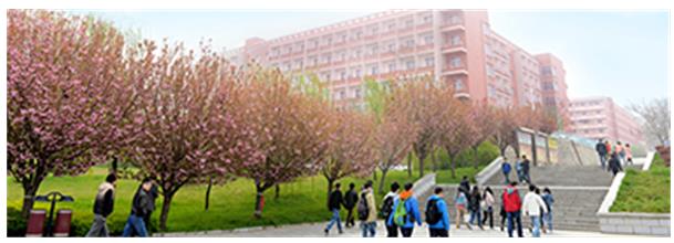 西安工程大學(xué)繼續教育學(xué)院是正規學(xué)校嗎? 西安工程大學(xué)繼續教育學(xué)院是正規學(xué)校嗎?