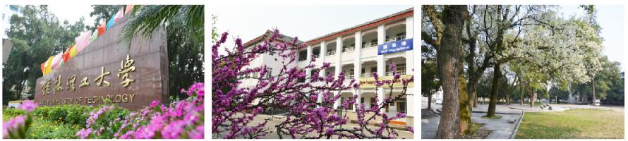 桂林理工大學(xué)繼續教育學(xué)院航空乘務(wù)培養項目有哪些專(zhuān)業(yè)? 桂林理工大學(xué)繼續教育學(xué)院航空乘務(wù)培養項目有哪些專(zhuān)業(yè)?